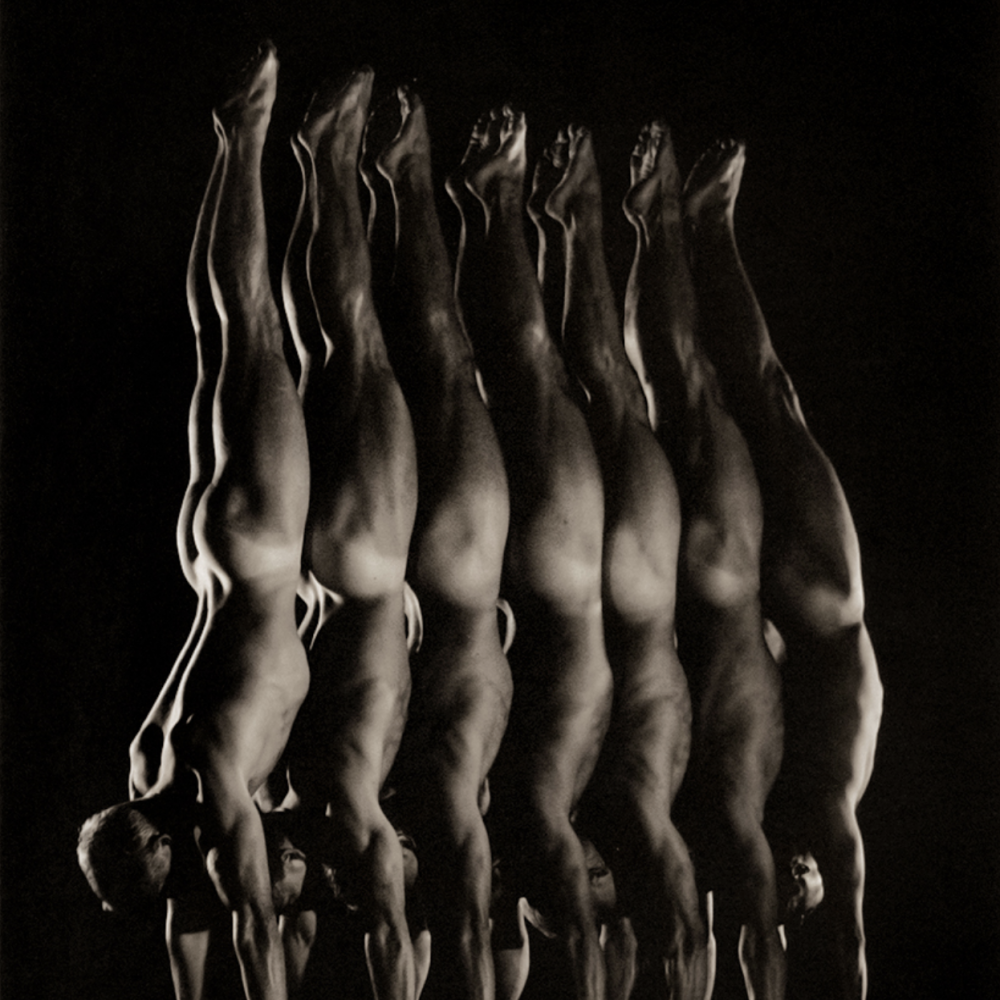 Anderson & Low - National Danish Gymnastic Team #1