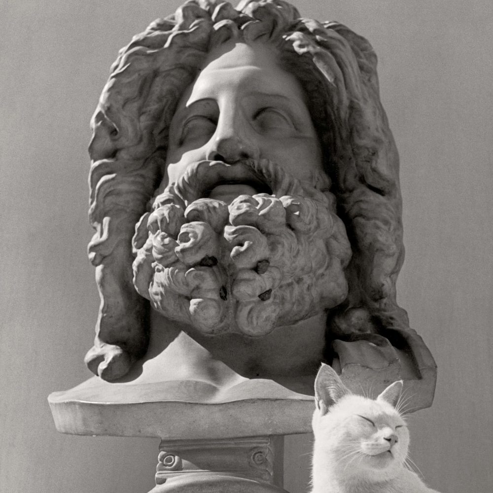 HERBERT LIST<br>"Júpiter y el gato"