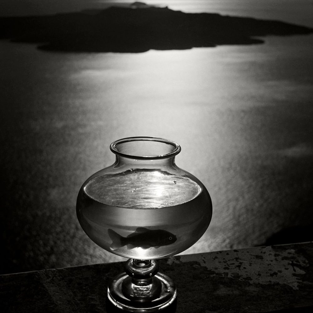 HERBERT LIST<br>"Pecera con pez dorado"