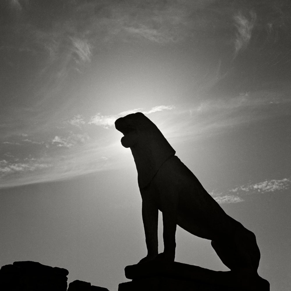 HERBERT LIST<br>"Archaic Lion #I"