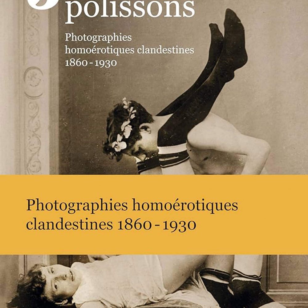 NICOLE CANET - JOYEUX POLISSONS