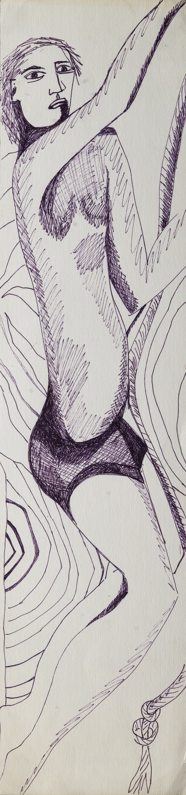 COSTUS<br>"Chico" - Image 3