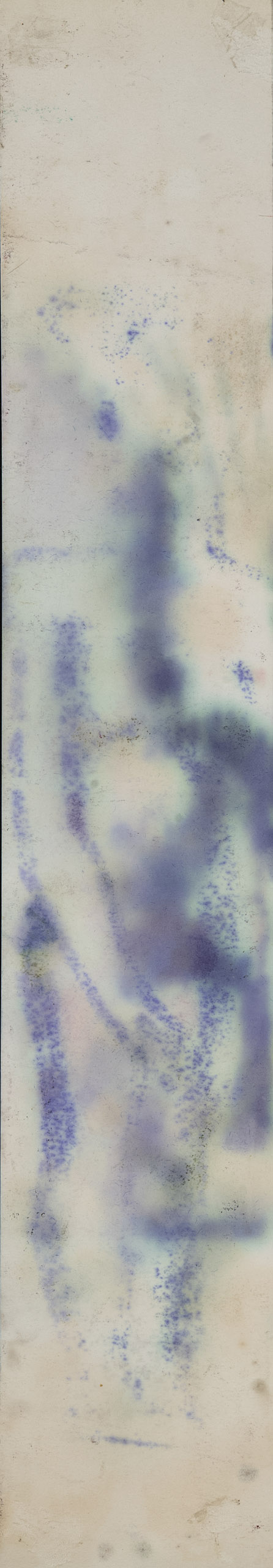 COSTUS<br>"Hombre desnudo" - Image 3