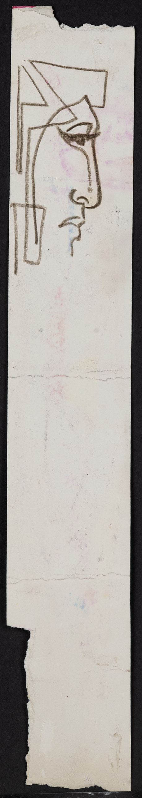 COSTUS<br>"Bicho con Antenas" - Image 3