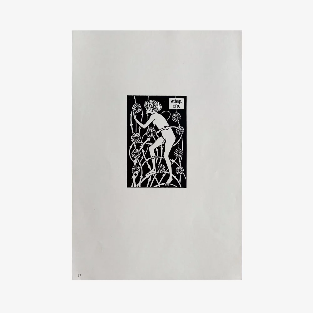 Erótiques de Beardsley - 37