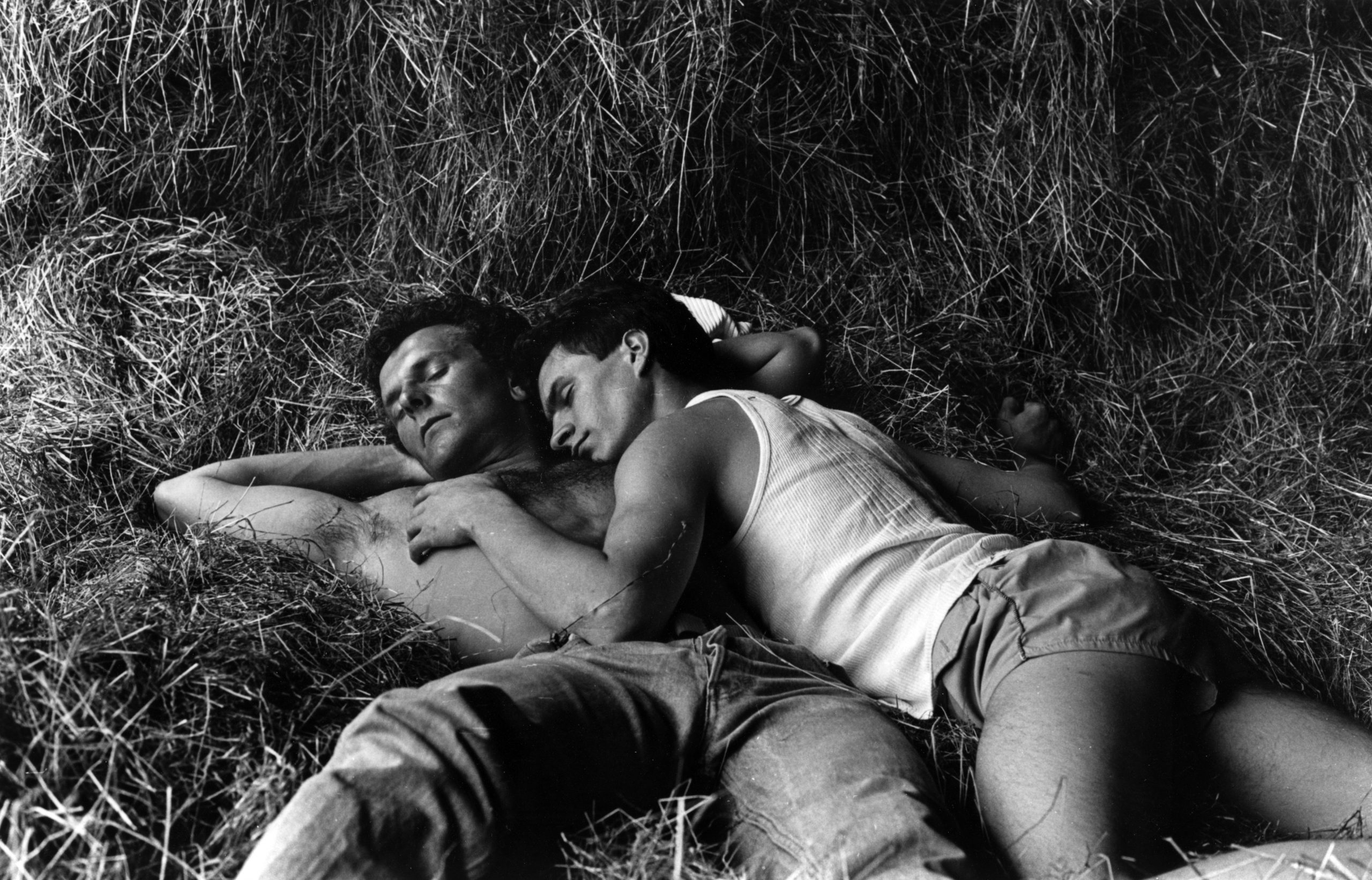 YVES PARADIS<br>"Sieste dans le foin" - Image 2