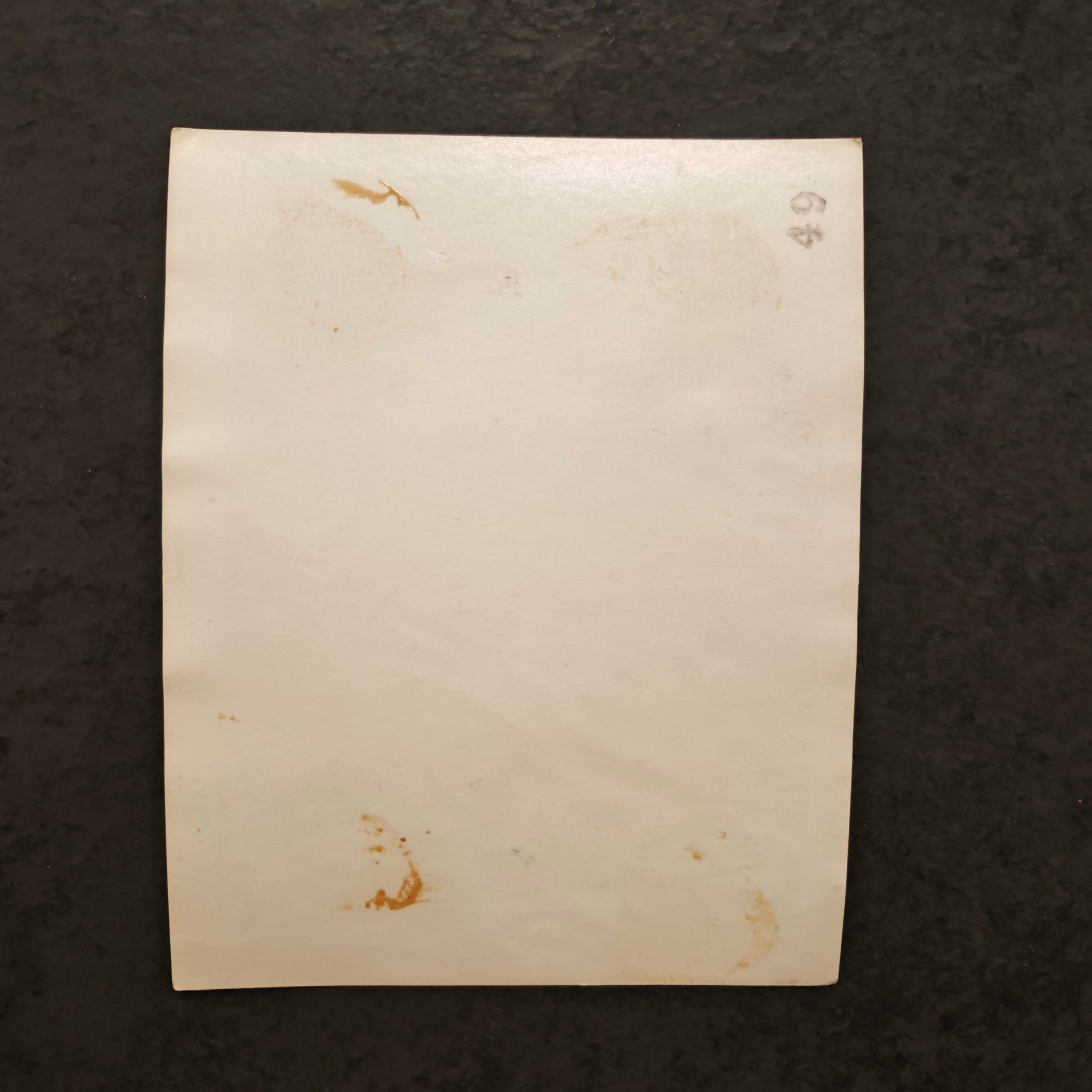 Athletic Model Guild <br>"Jerry Ross" - Image 2