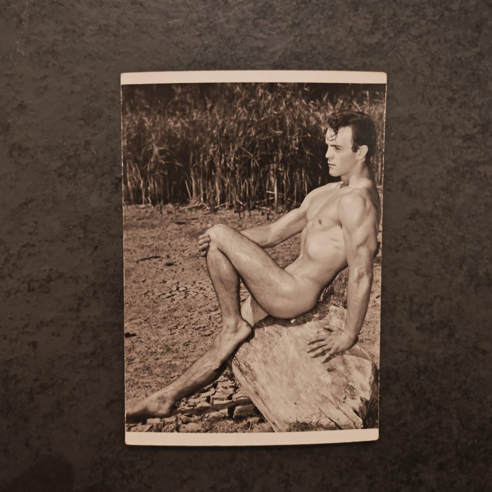 Western Photography Guild <br>"Wayne Humble"