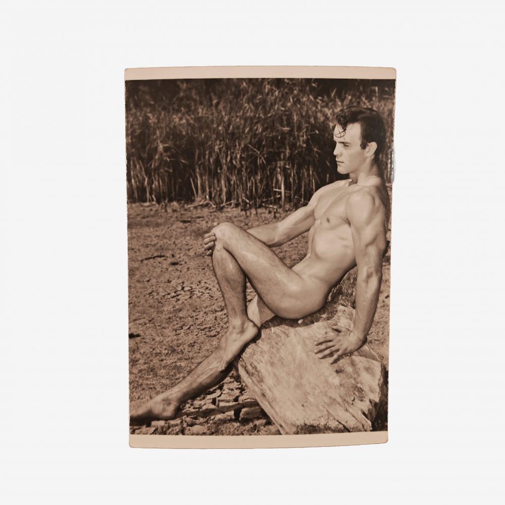 Western Photography Guild <br>"Wayne Humble"