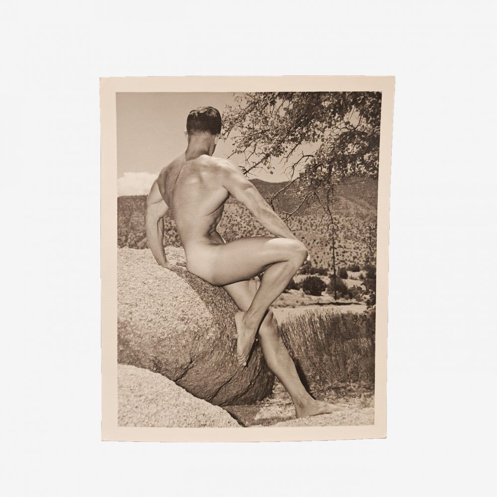 Bruce of Los Angeles <br>"Bill Lamm"