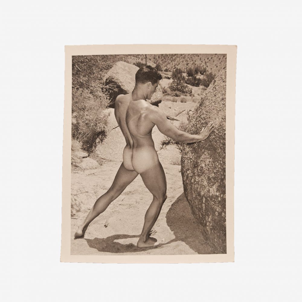 Bruce of Los Angeles <br>"Bill Lamm"