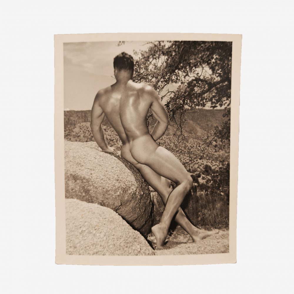 Bruce of Los Angeles <br>"Bill Lamm"