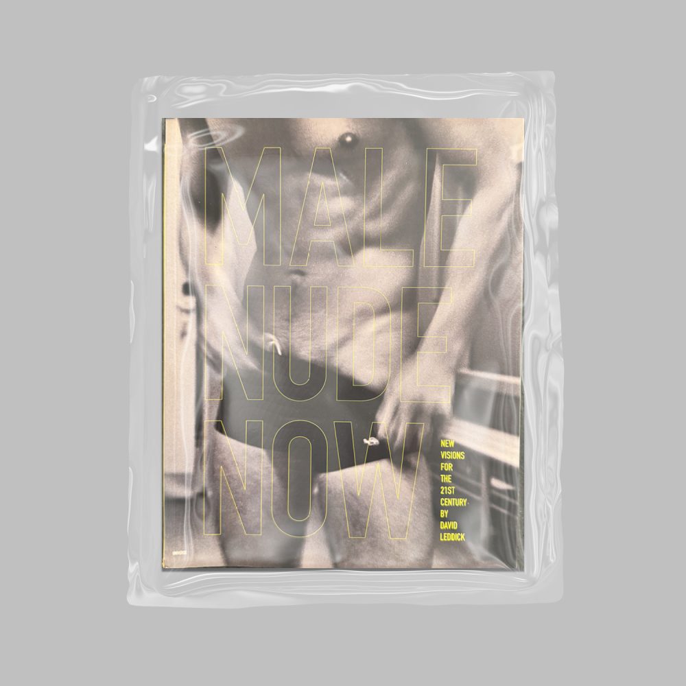David Leddick, MALE NUDE NOW (New visions for the 21st century)