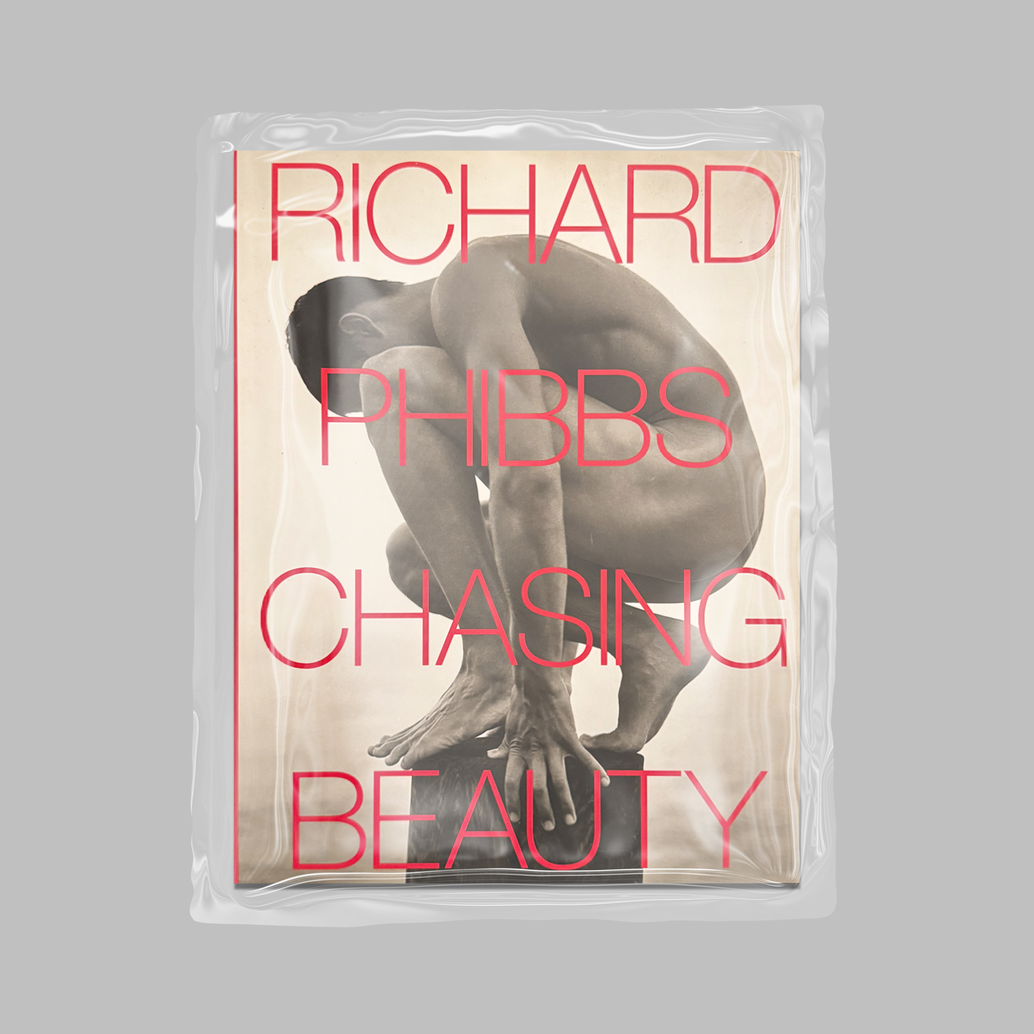 RICHARD PHIBBS, Chasing Beauty, artwork at IMAGO DEI Gallery