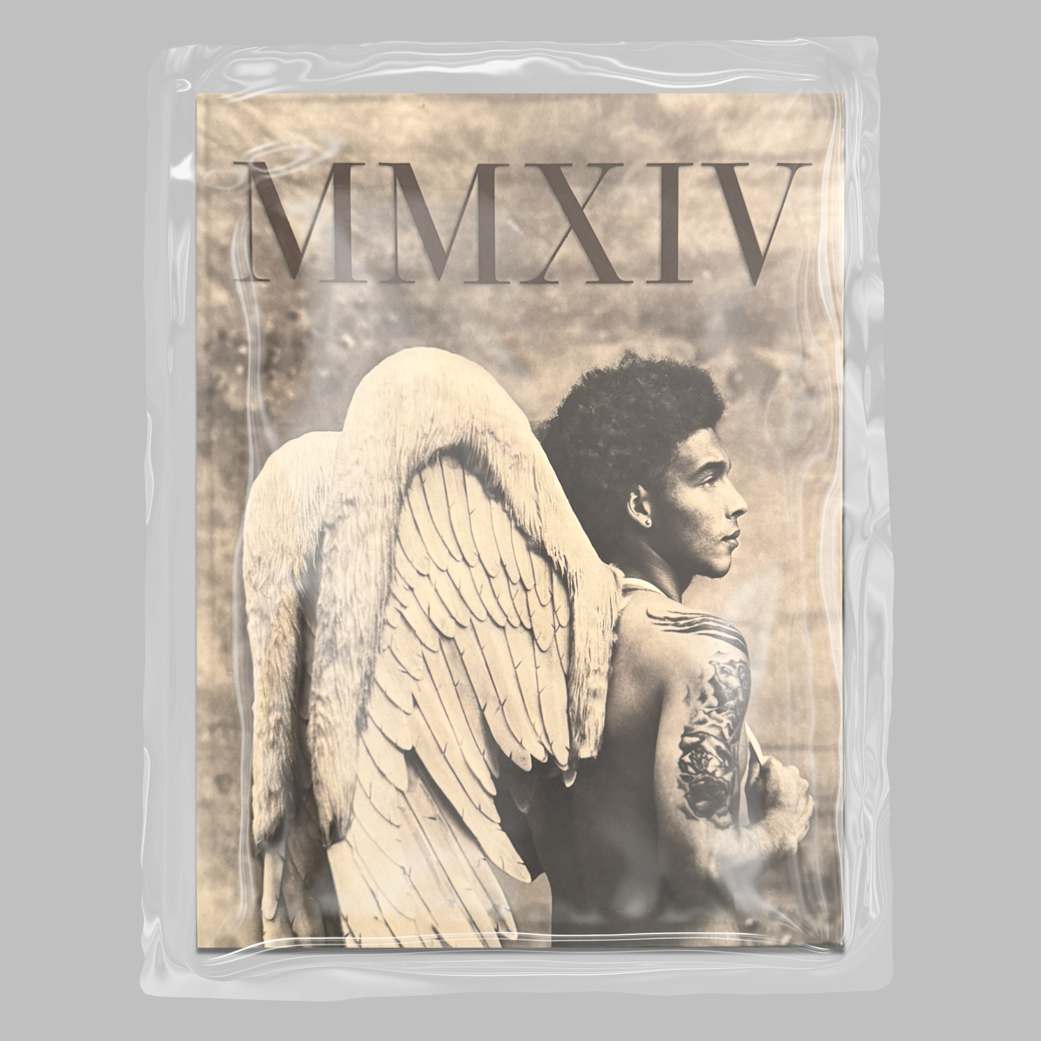 STEPHAN VANFLETEREN, MMXIV" (limited edition with print), artwork at IMAGO DEI Gallery