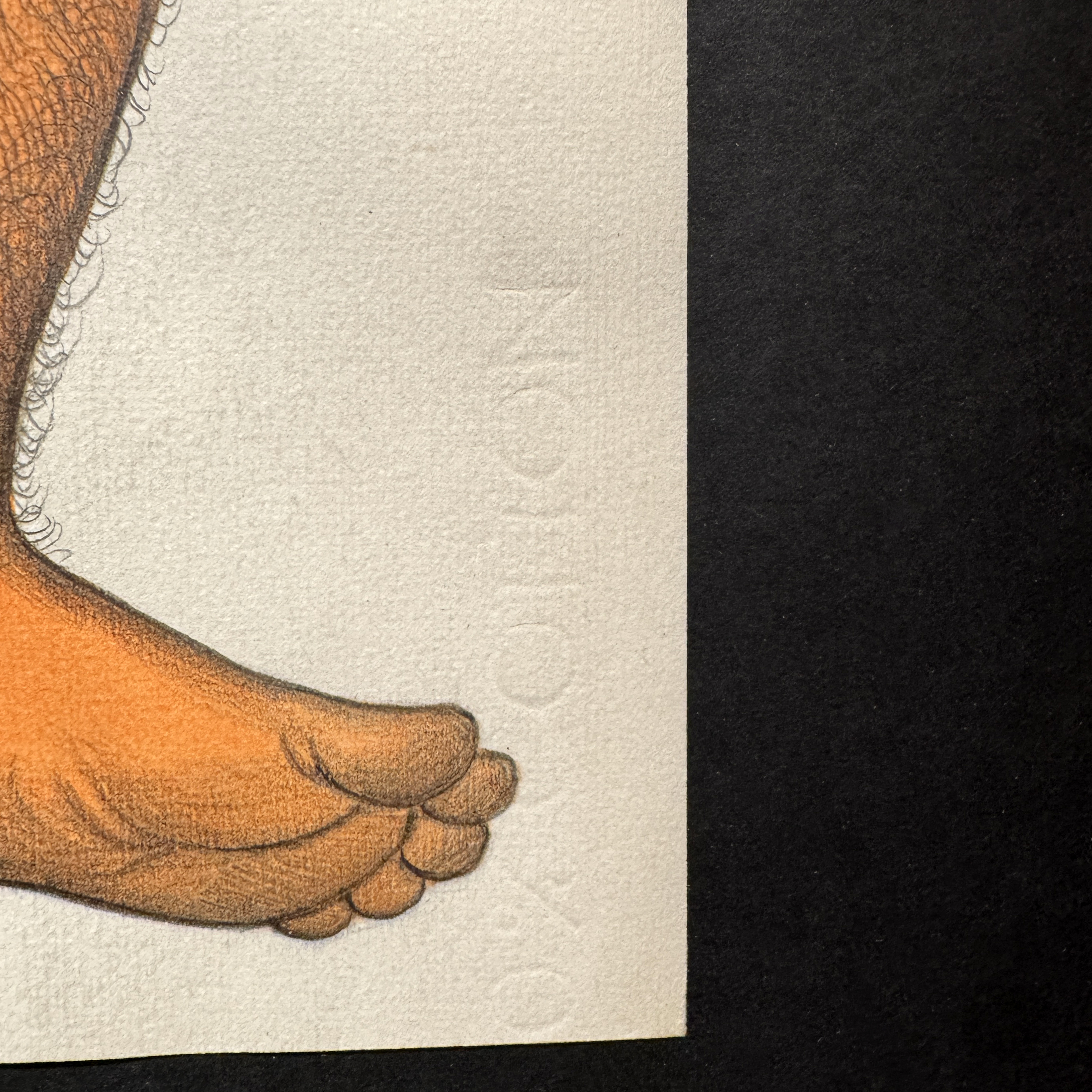 Go Mishima (Tsuyoshi Yoshida) – Sin título (Young man bound), 1970, pencil and watercolor on paper
